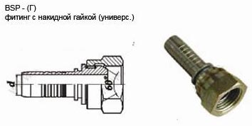 BSP-G